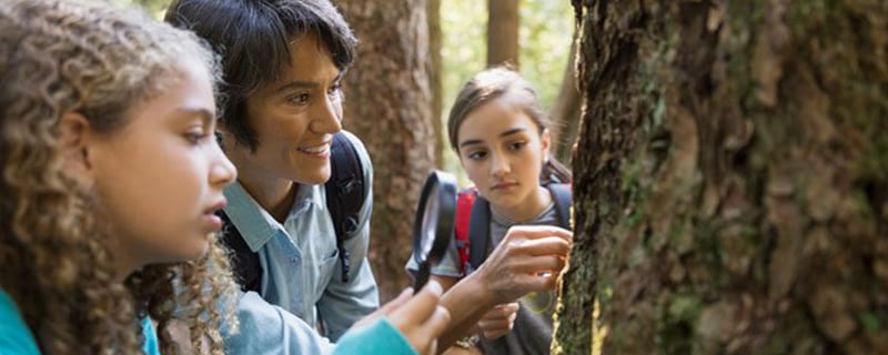 Tips to help your child get their dose of STEM